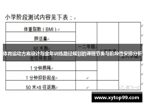 体育运动方案设计与全年训练路径规划的课程节奏与阶段性安排分析